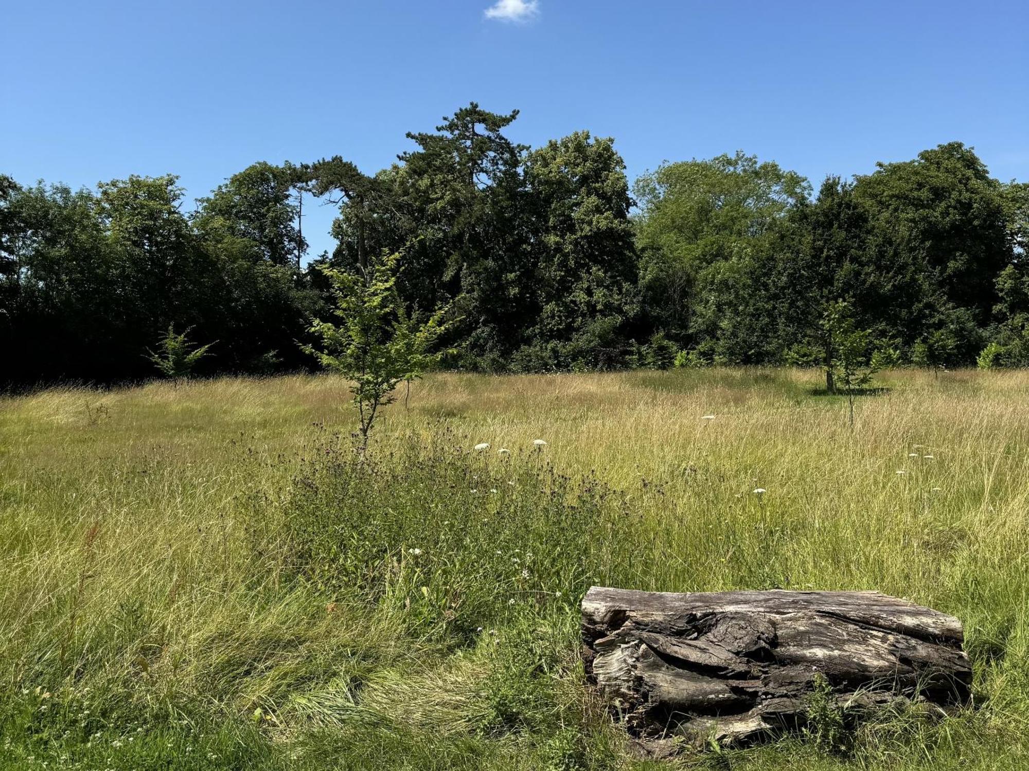 Hookwood Lodge London Gatwick Horley Eksteriør billede