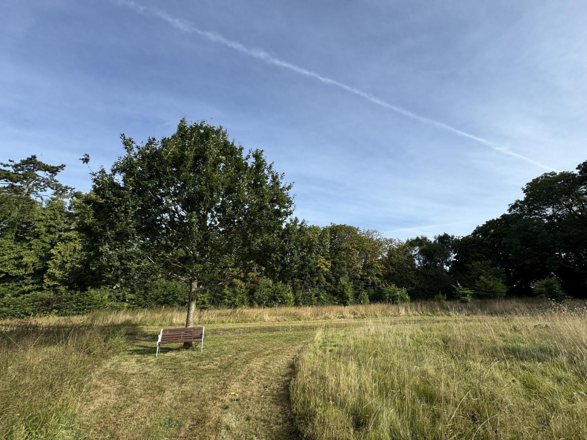 Hookwood Lodge London Gatwick Horley Eksteriør billede