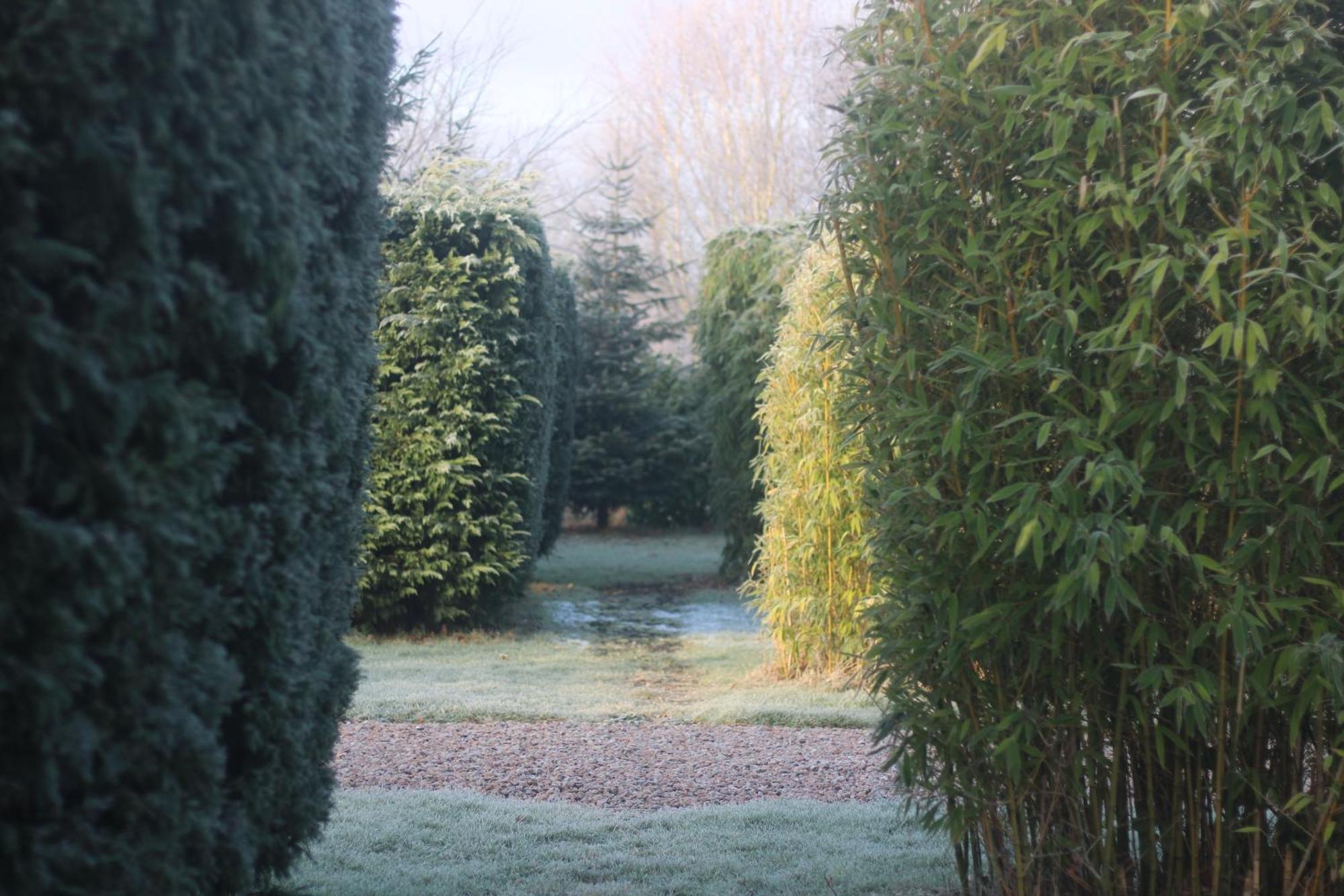 Hookwood Lodge London Gatwick Horley Eksteriør billede